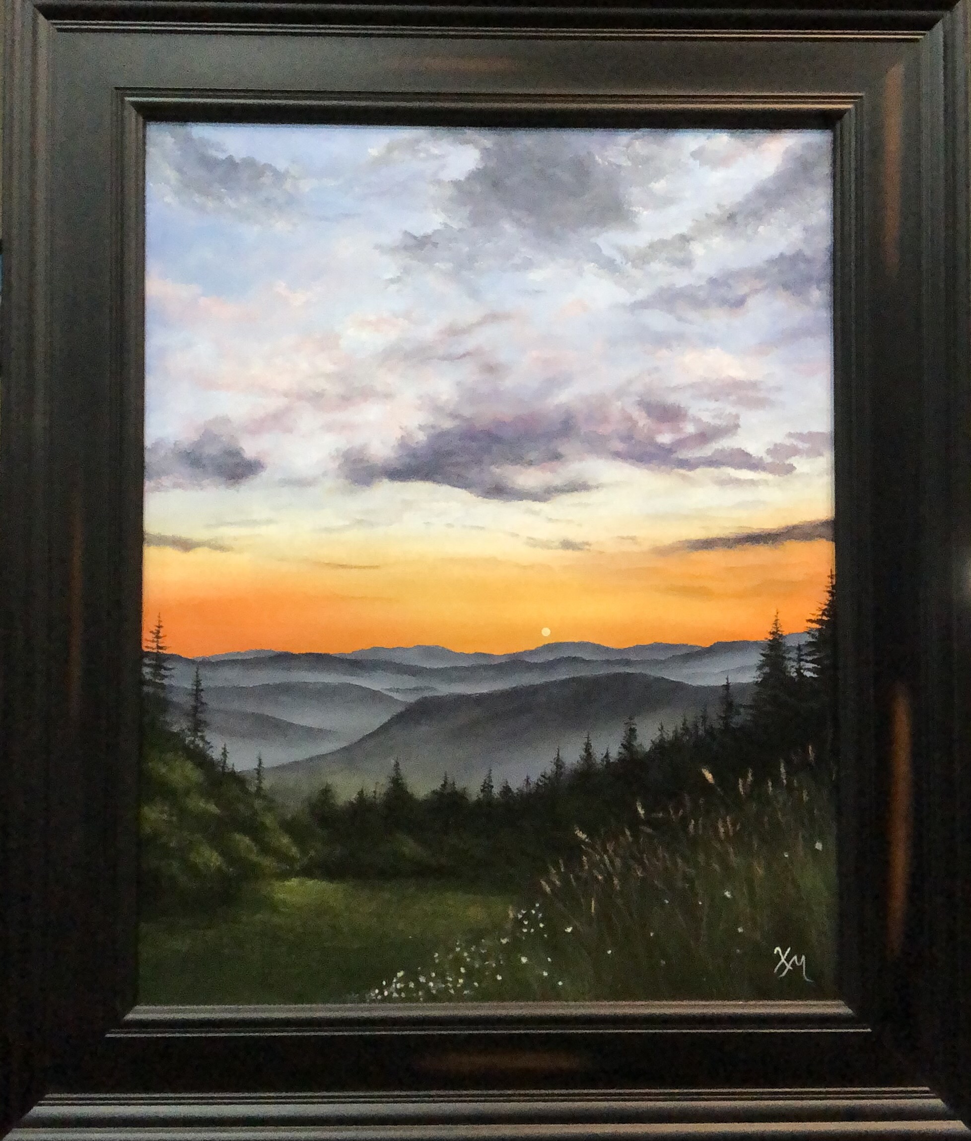 Mountain View - Framed - Fine Art by Xandria Maurer