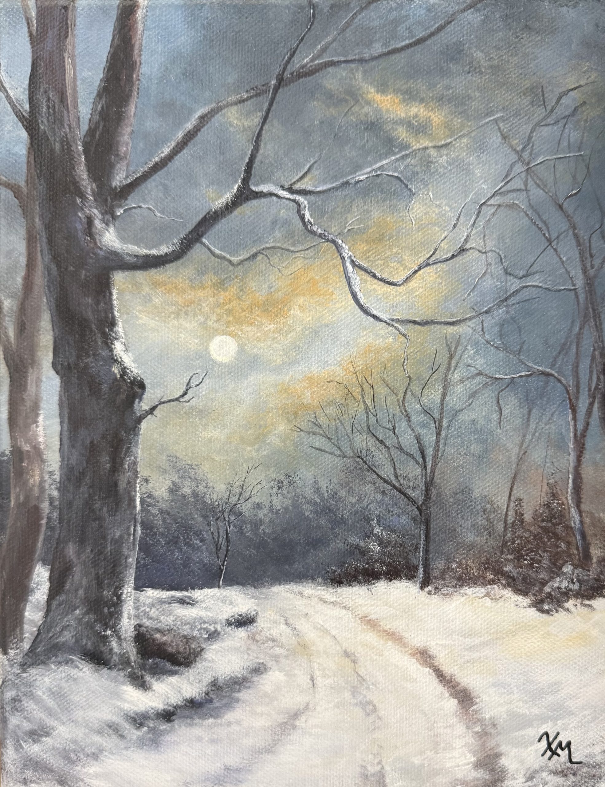 Moonlit Snow fine art by Xandria Maurer