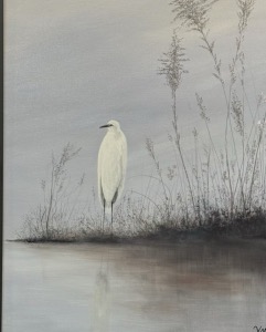 Water Memories Collection