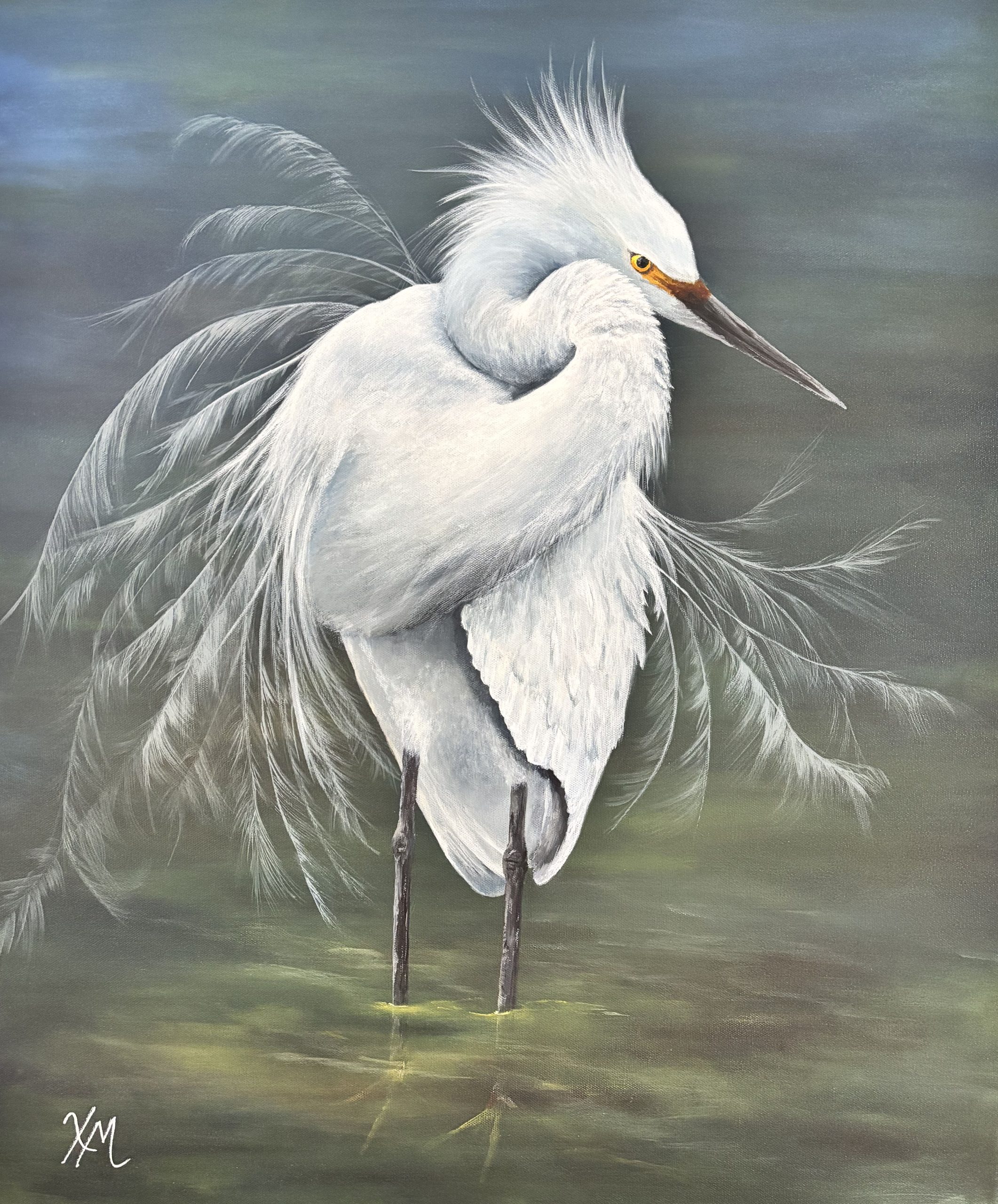 Avian Elegance Collection