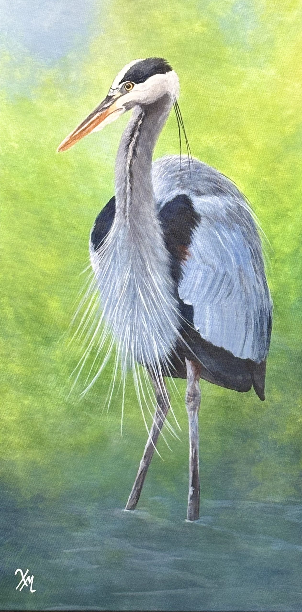 Heron in Courtship Heron in Courtship - Fine Art by Xandria Maurer