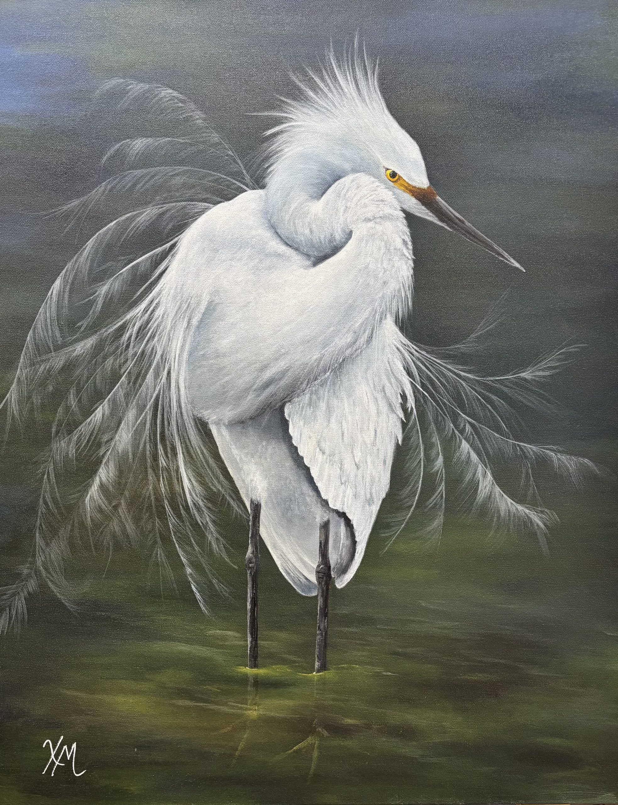 Avian Elegance Collection