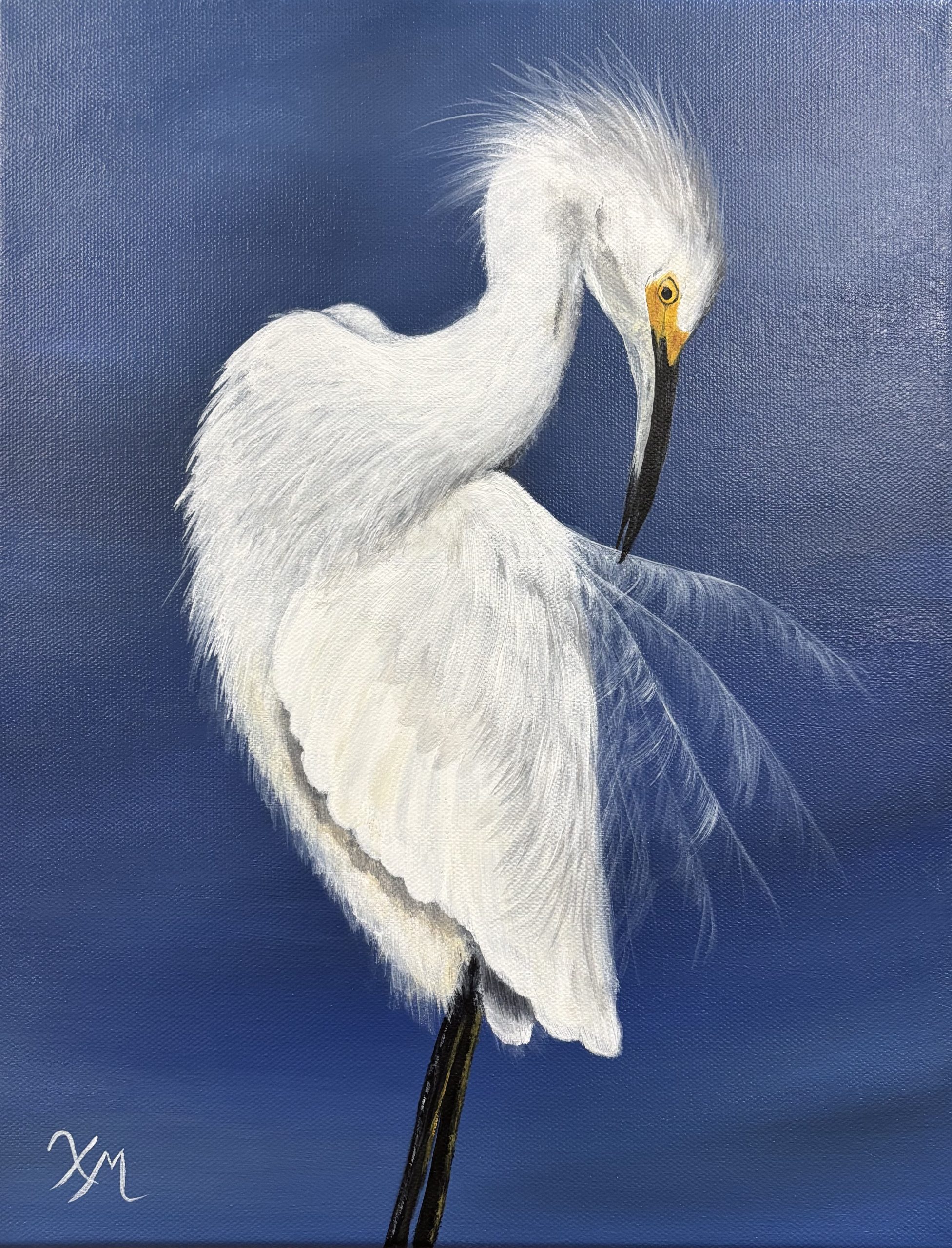 The Elegance of Preening The Elegance of Preening - Fine Art by Xandria Maurer