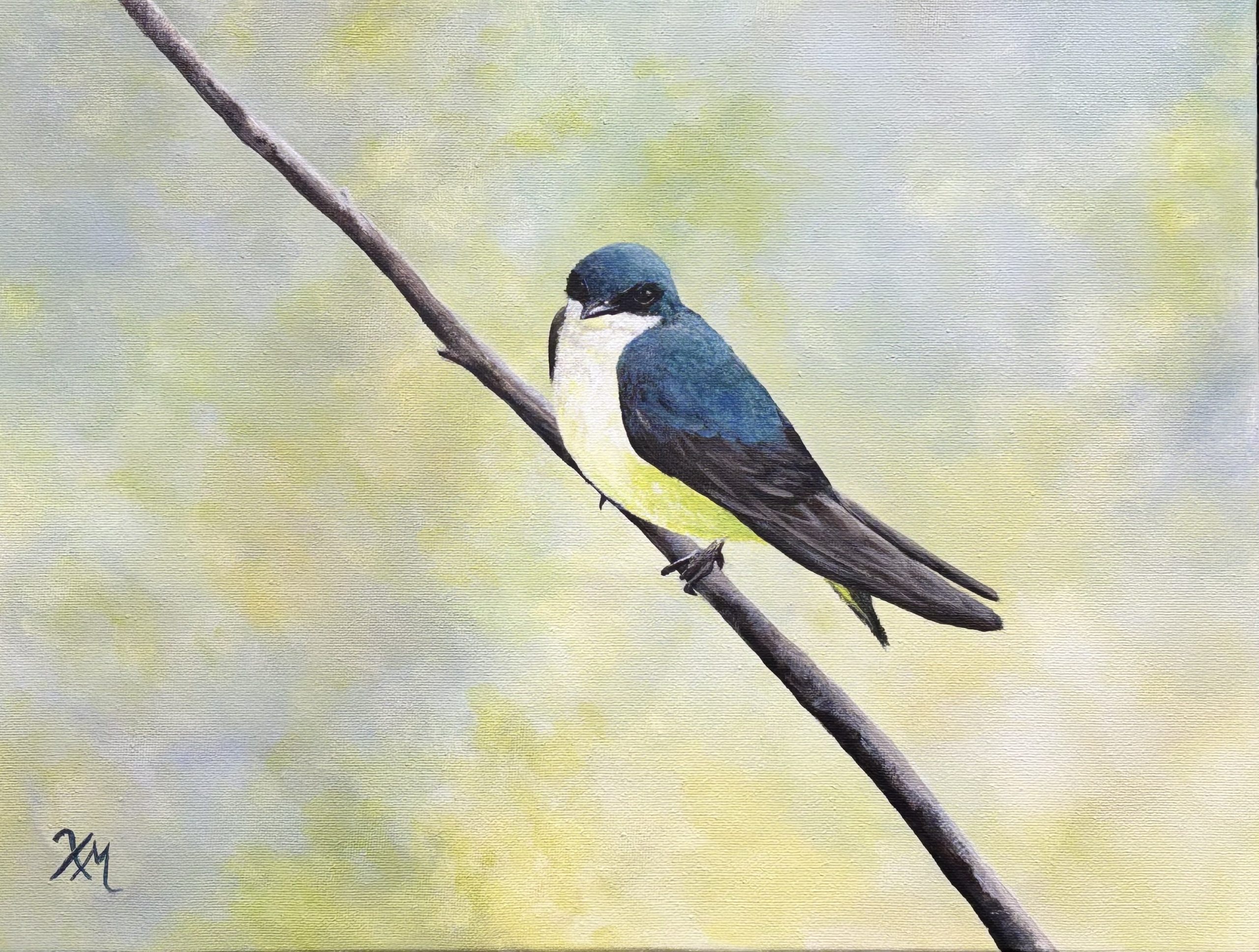 The Tree Swallow The Tree Swallow - Fine Art by Xandria Maurer