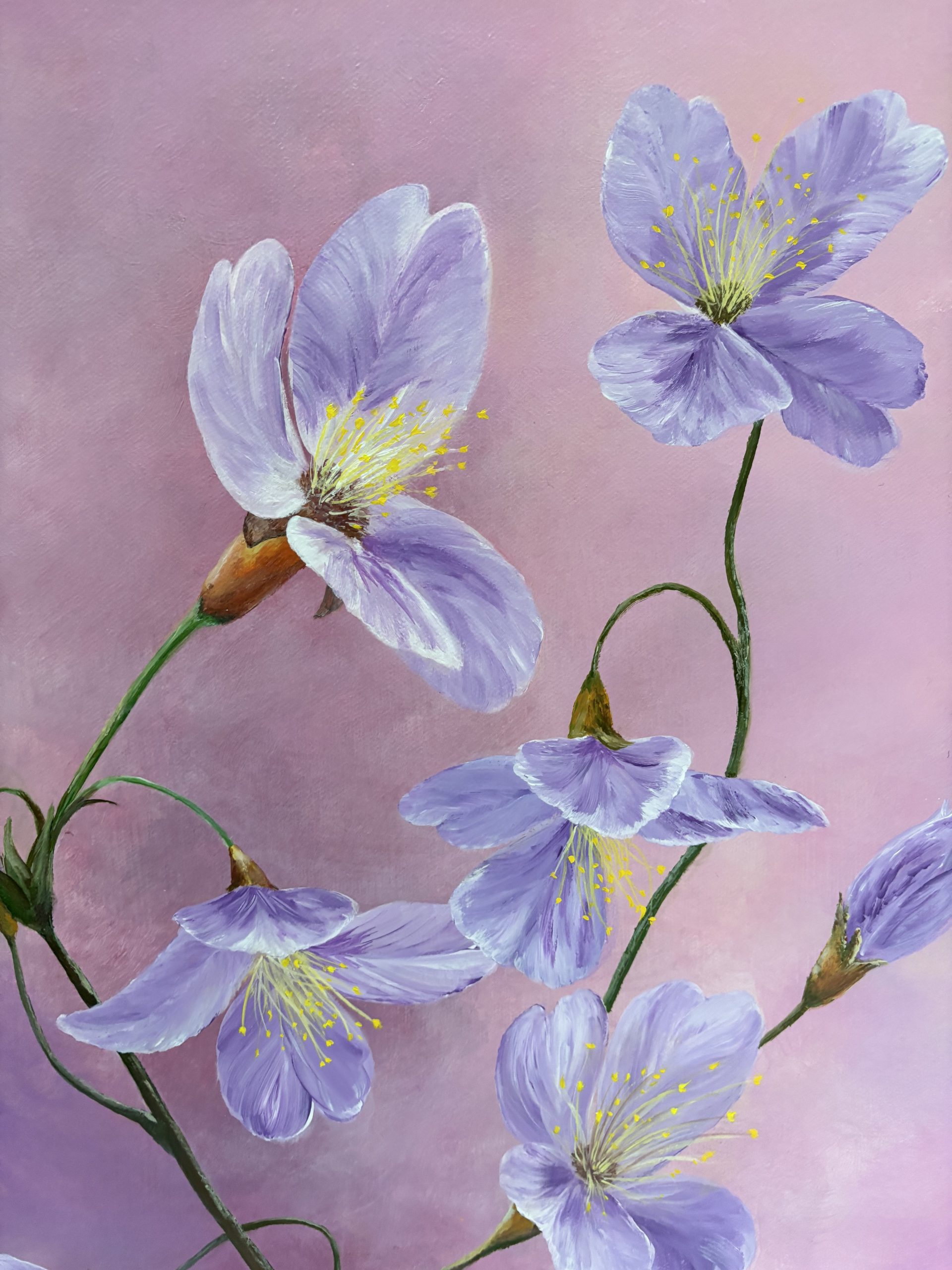 Clemetis - Fine Art by Xandria Maurer