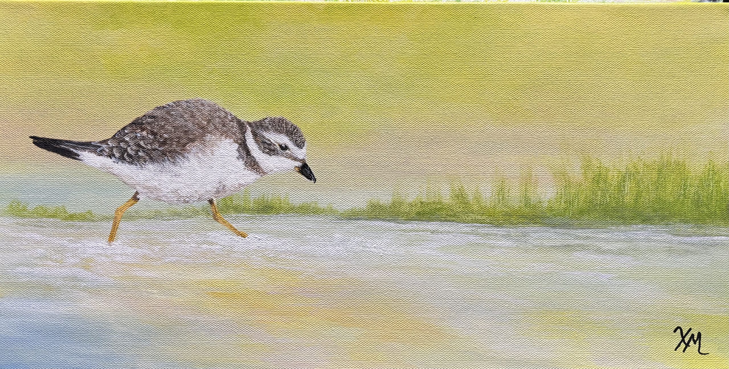 Plover's Picnic - Fine Art by Xandria Maurer