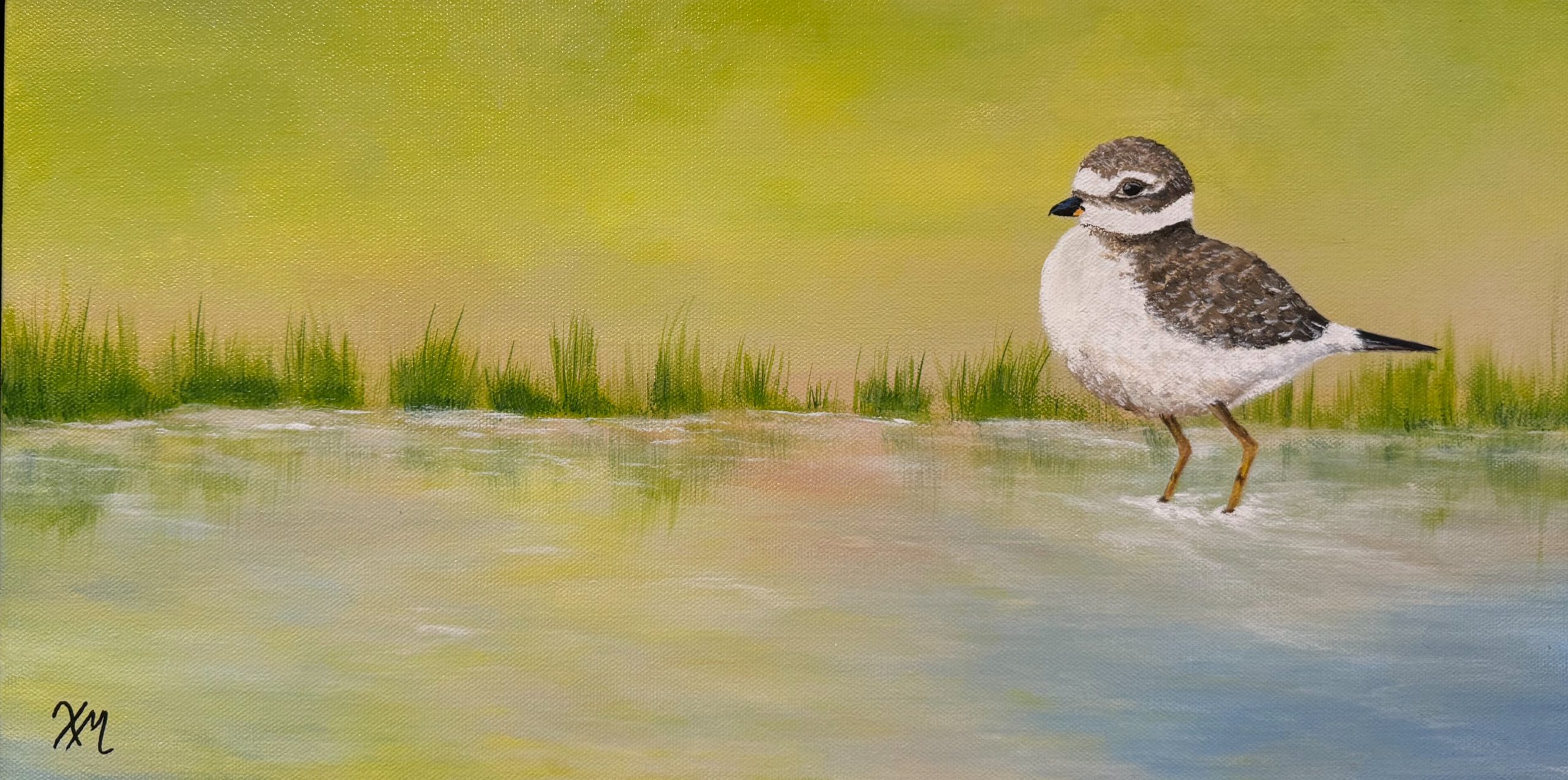 What’s For Lunch What's For Lunch - Fine Art By Xandria Maurer