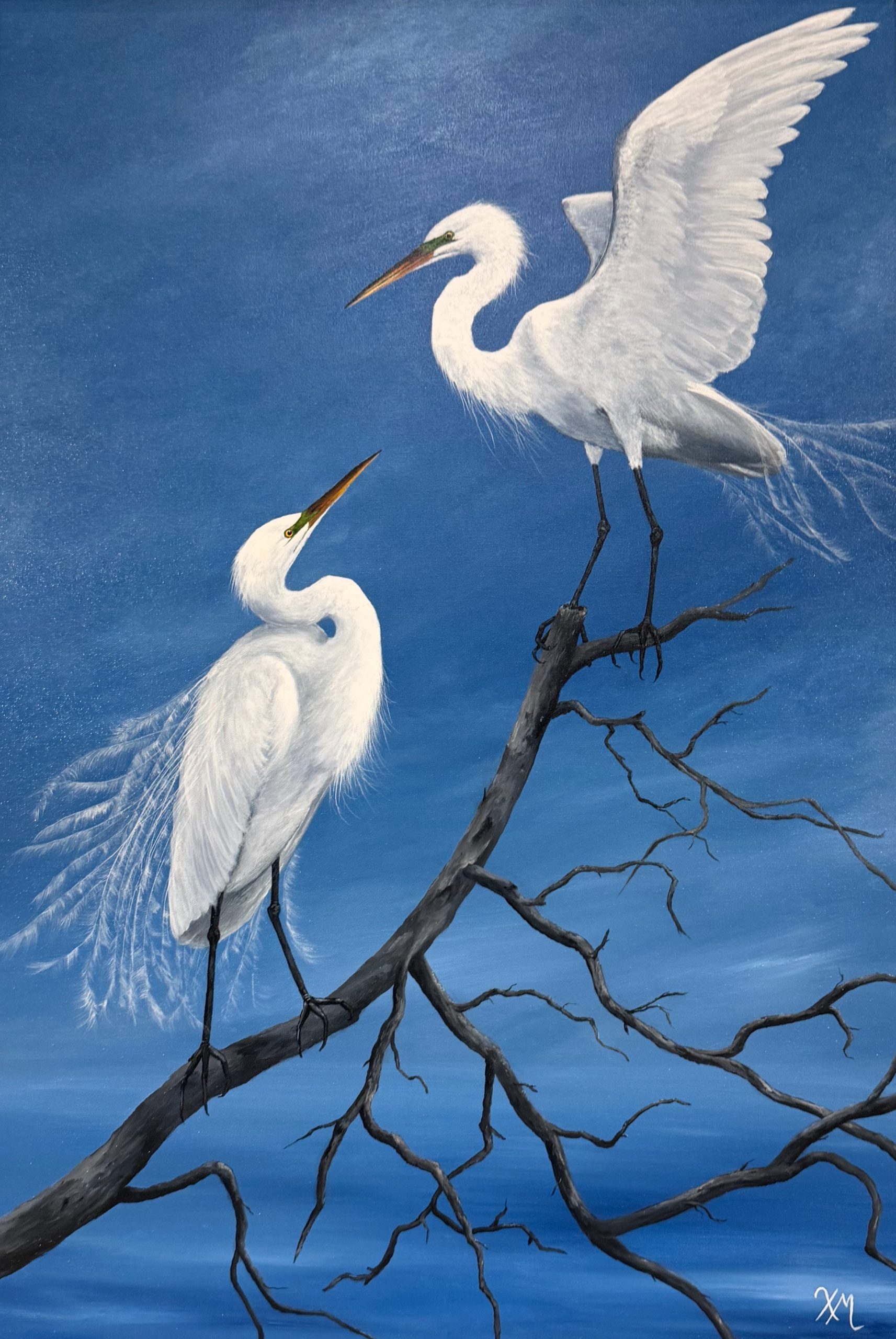 At First Glance - Fine Art by Xandria Maurer